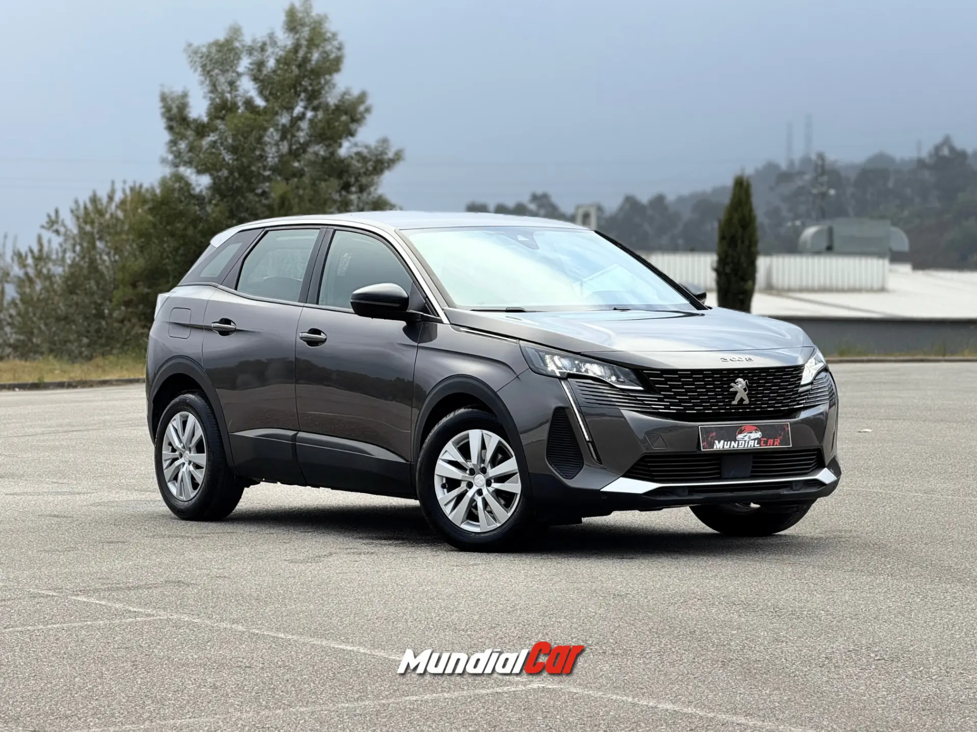 Peugeot 3008 1.5 BlueHDi Active Pack 14