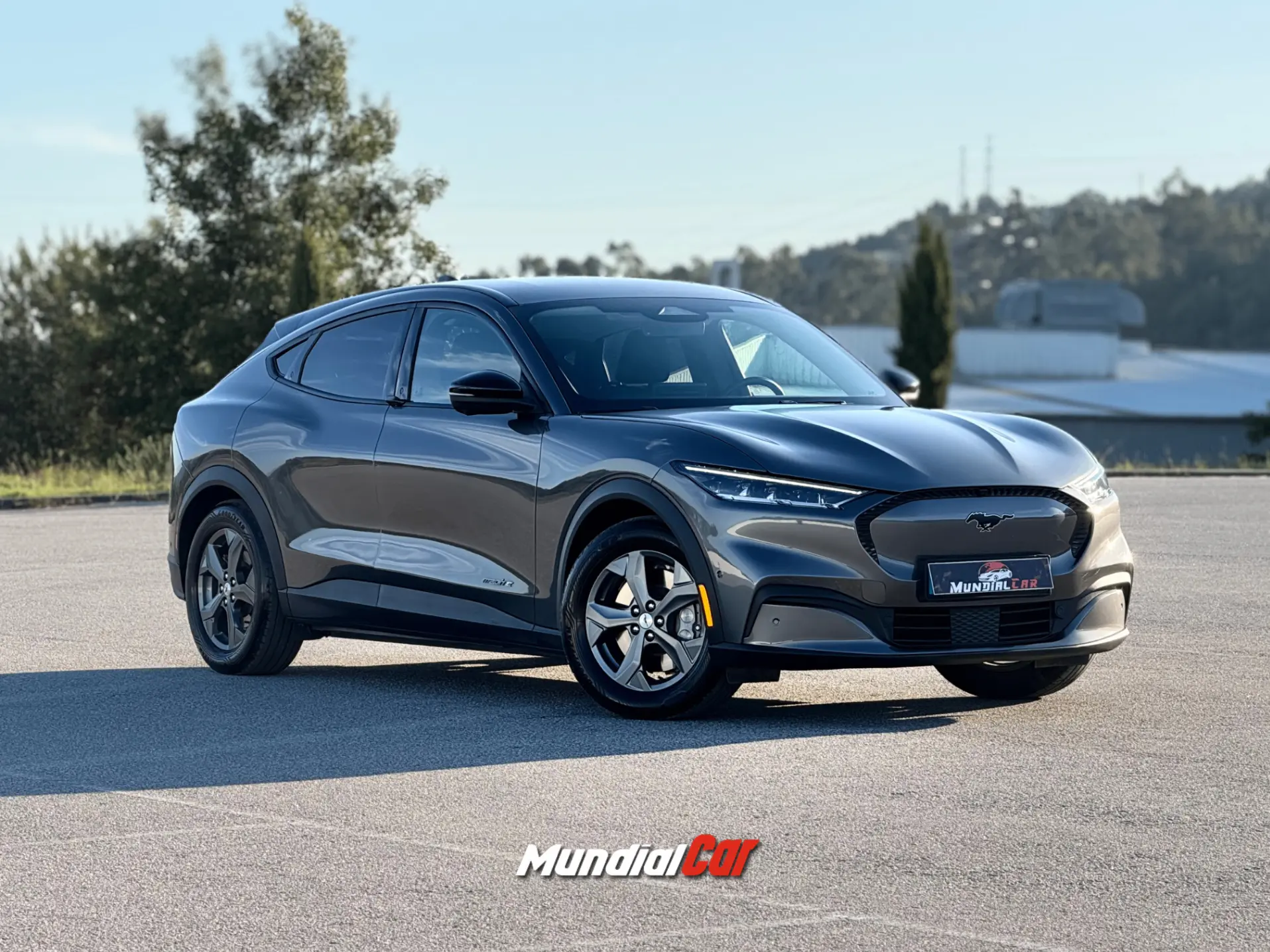 Ford Mustang Mach-E Standard Range RWD 11
