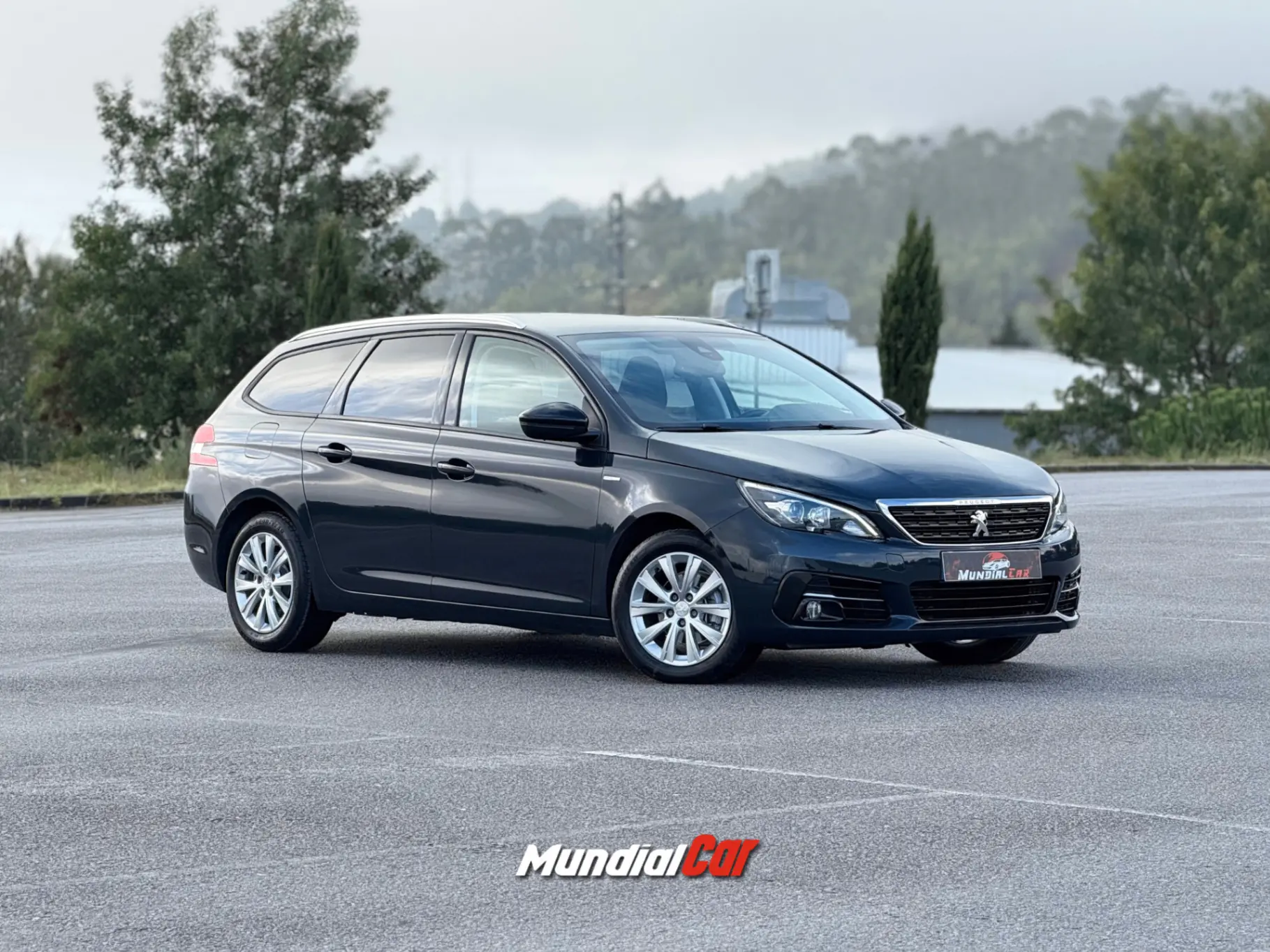 Peugeot 308 SW 1.2 PureTech Active EAT8 13