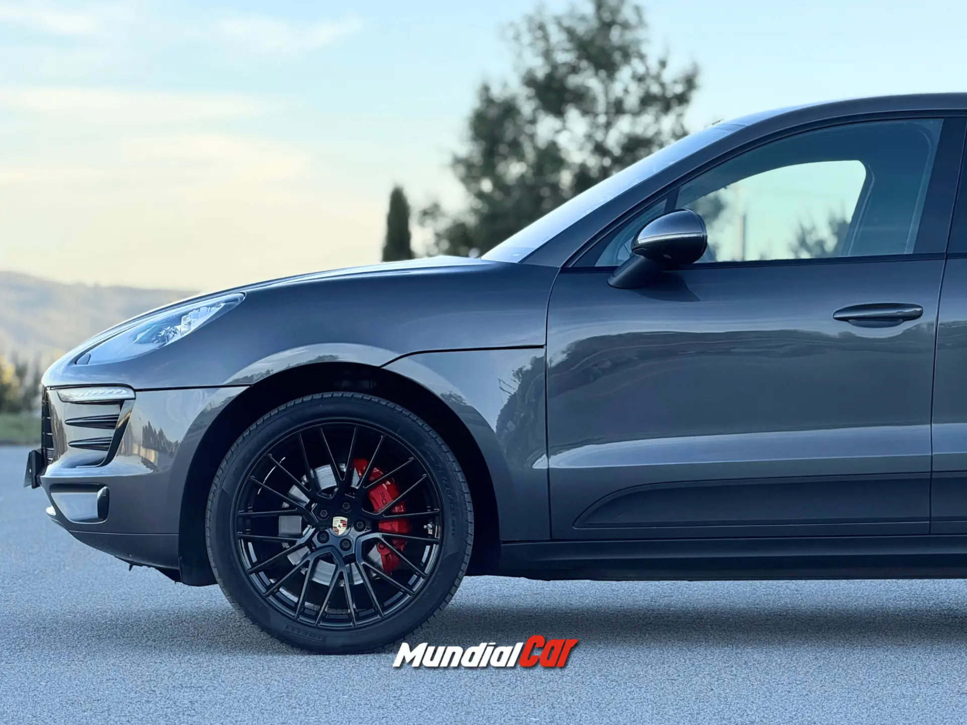 Porsche Macan S 21