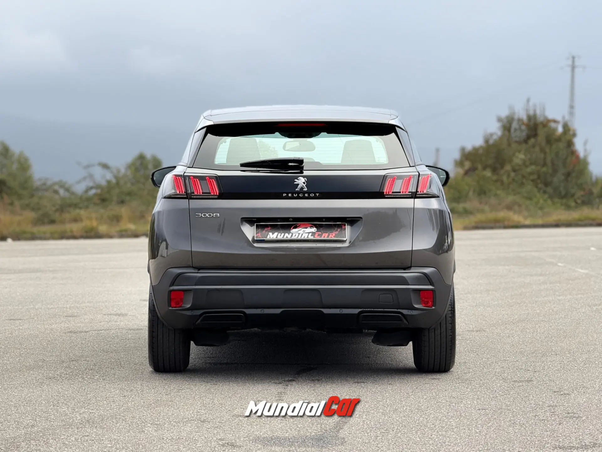Peugeot 3008 1.5 BlueHDi Active Pack 10