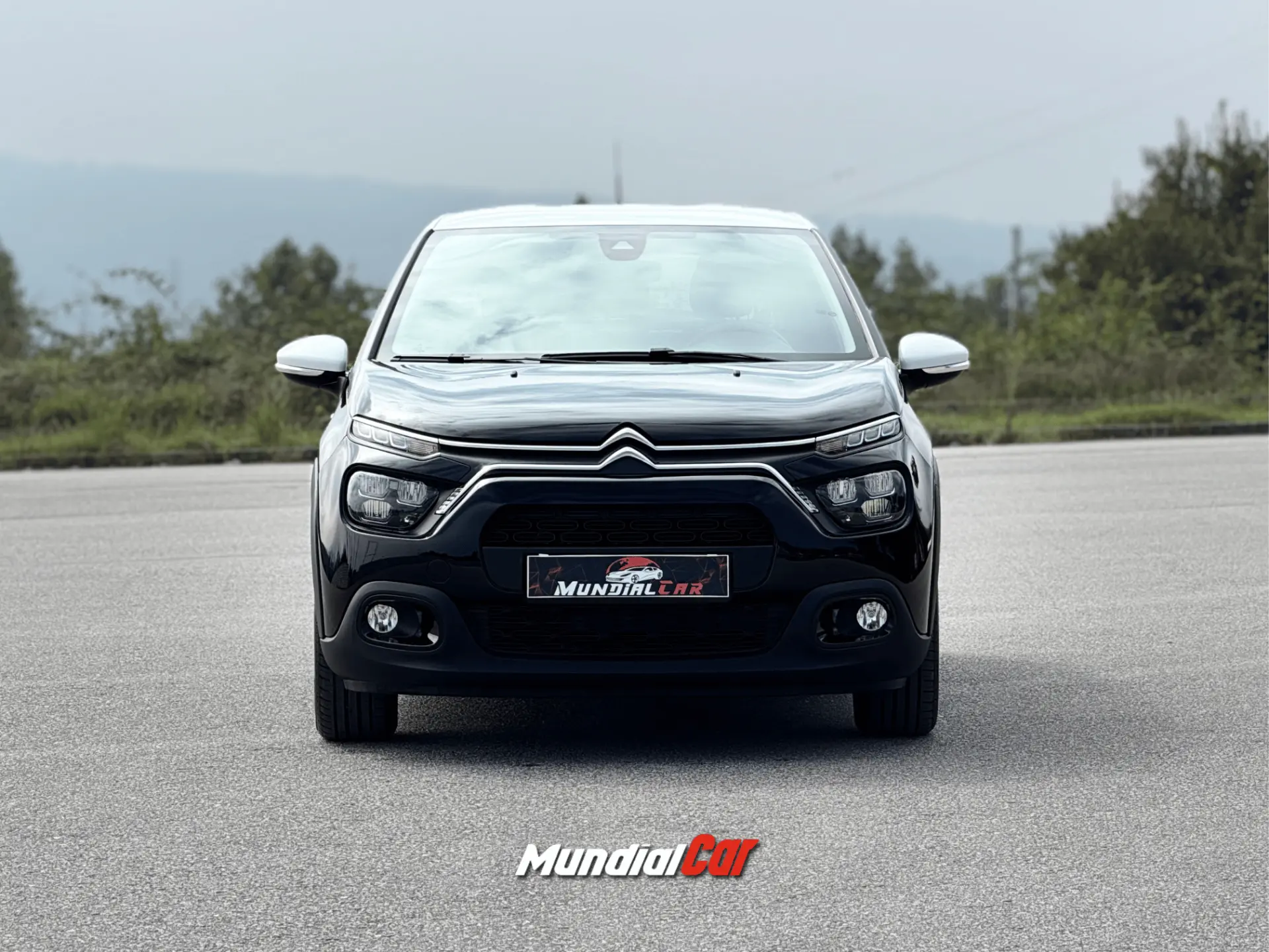 Citroen C3 1.2 PureTech Shine 4