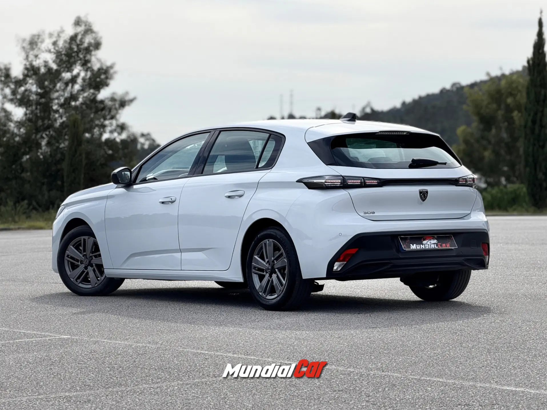 Peugeot 308 1.2 PureTech Active 12