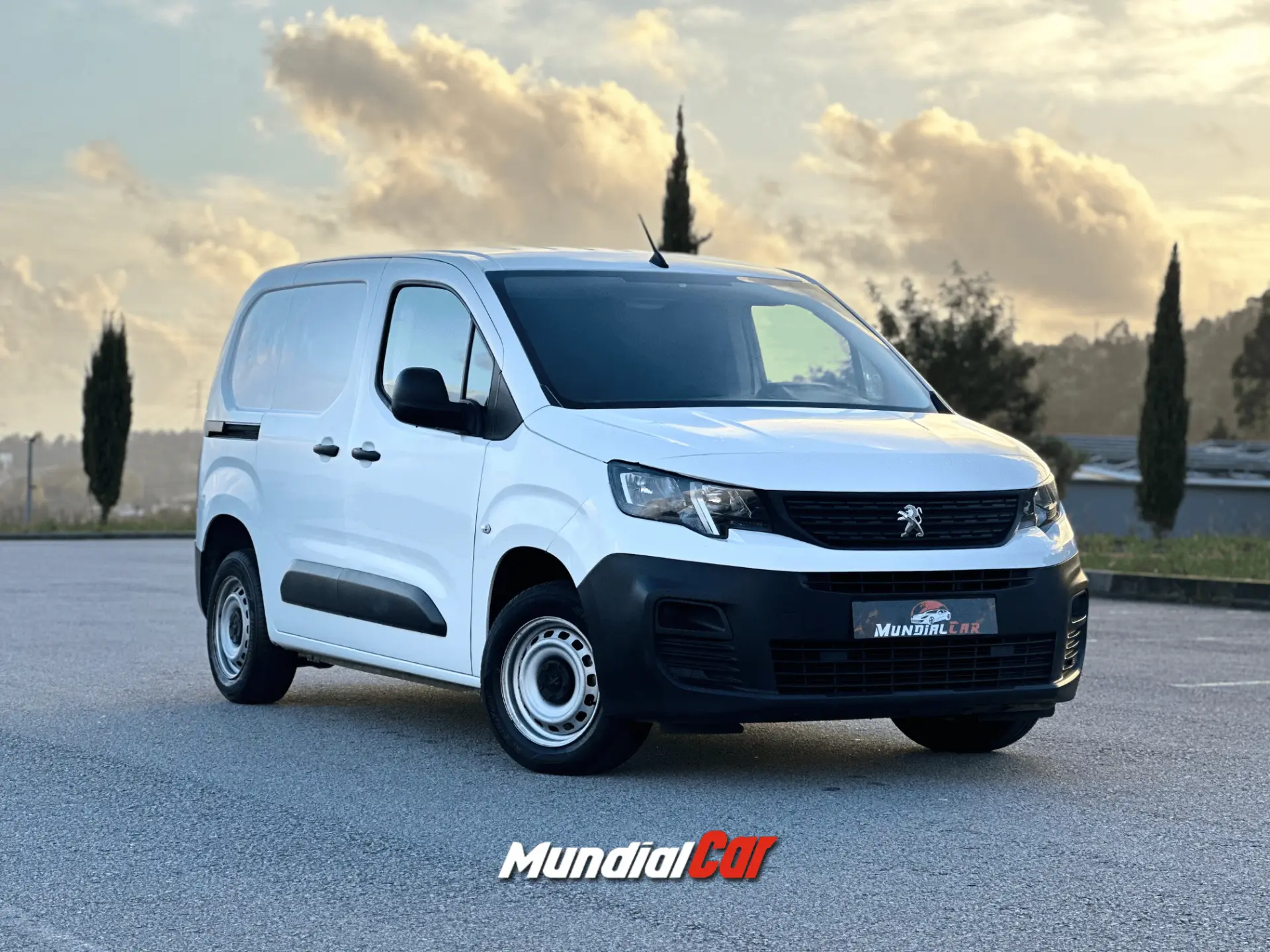 Peugeot Partner 1.6 BlueHDi Standard Pro 9