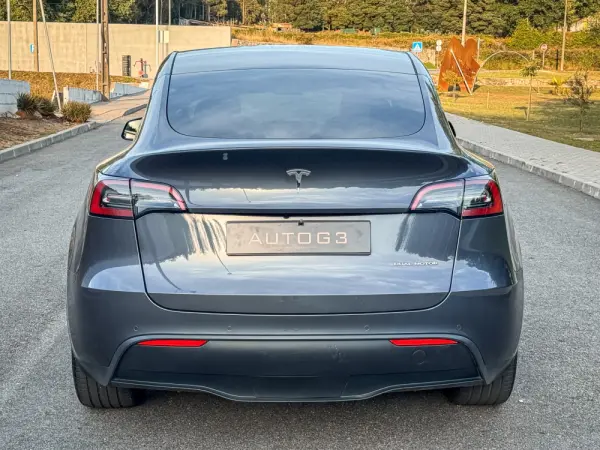 Tesla Model Y Long Range Dual Motor AWD 10