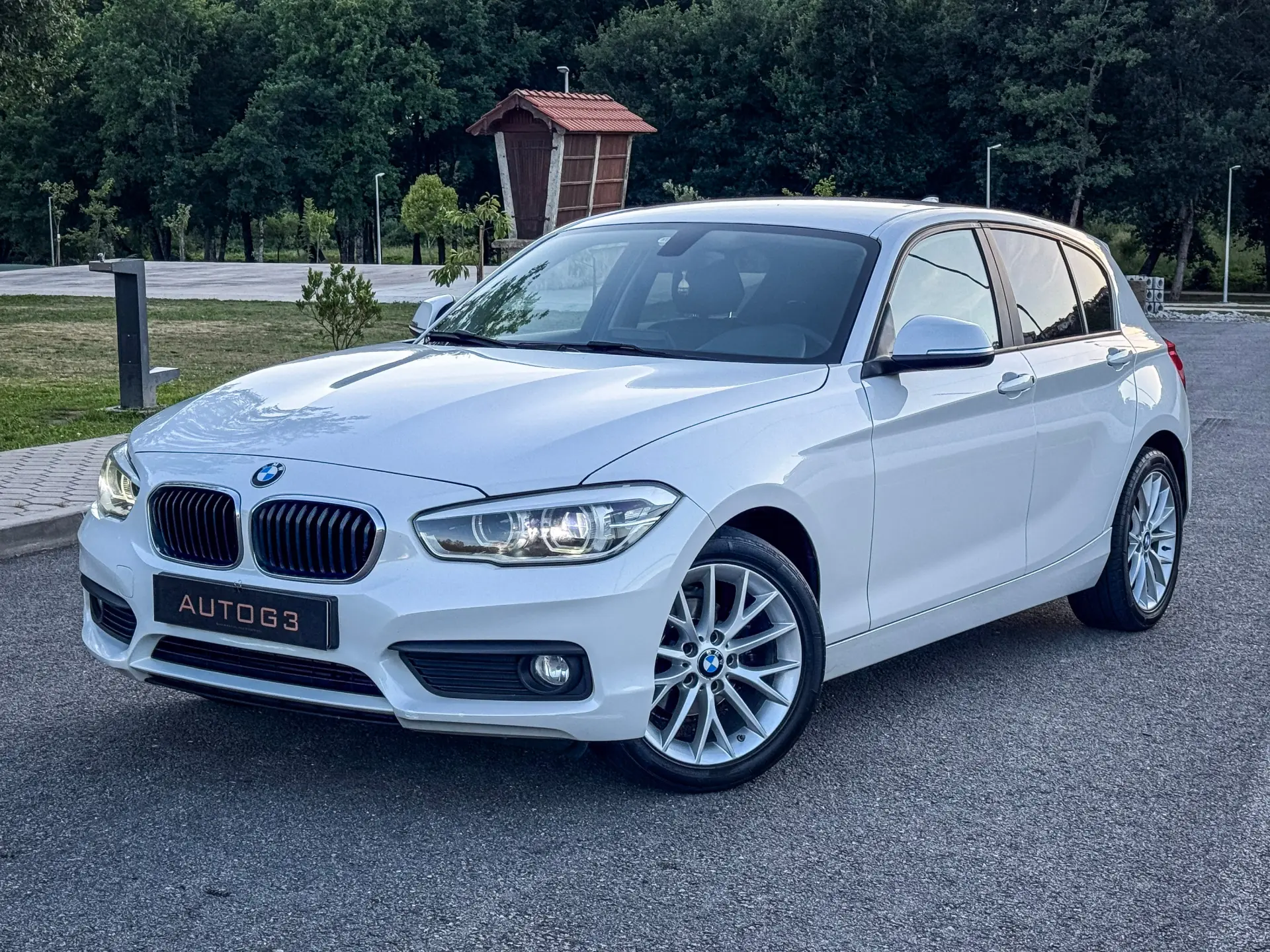 BMW 116 d Line Luxury Auto 1