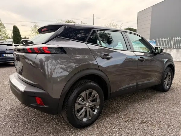 Peugeot 2008 1.2 PureTech Active Pack 5