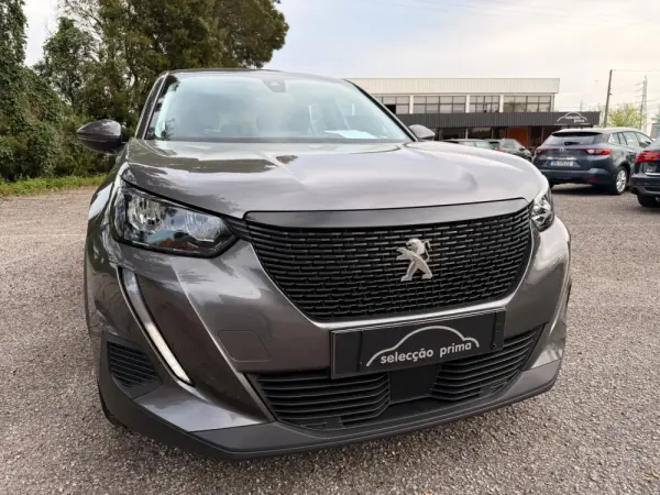 Peugeot 2008 1.2 PureTech Active Pack 7