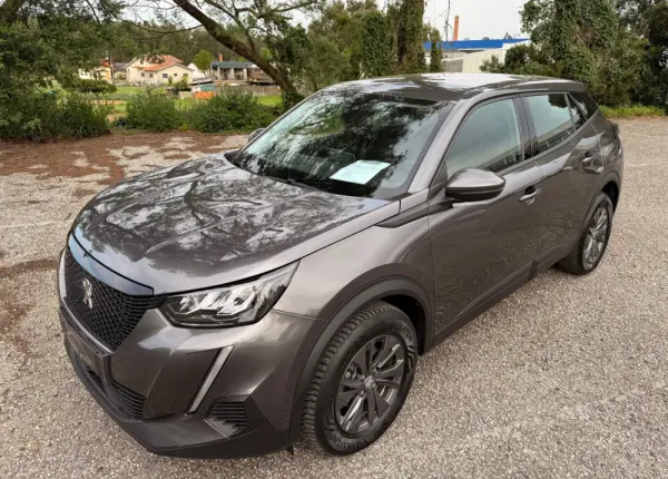 Peugeot 2008 1.2 PureTech Active Pack 8