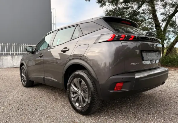 Peugeot 2008 1.2 PureTech Active Pack 10
