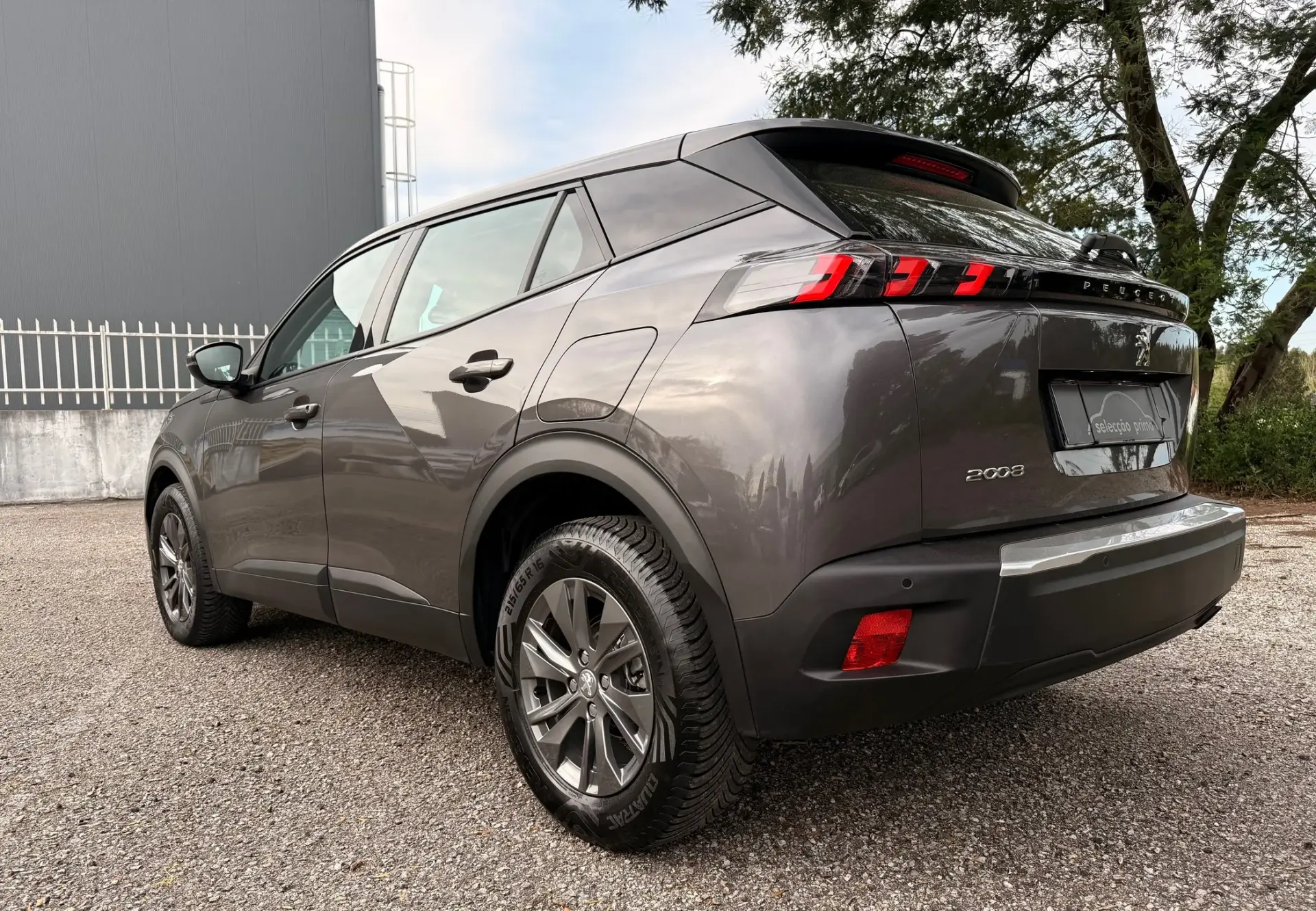 Peugeot 2008 1.2 PureTech Active Pack 10