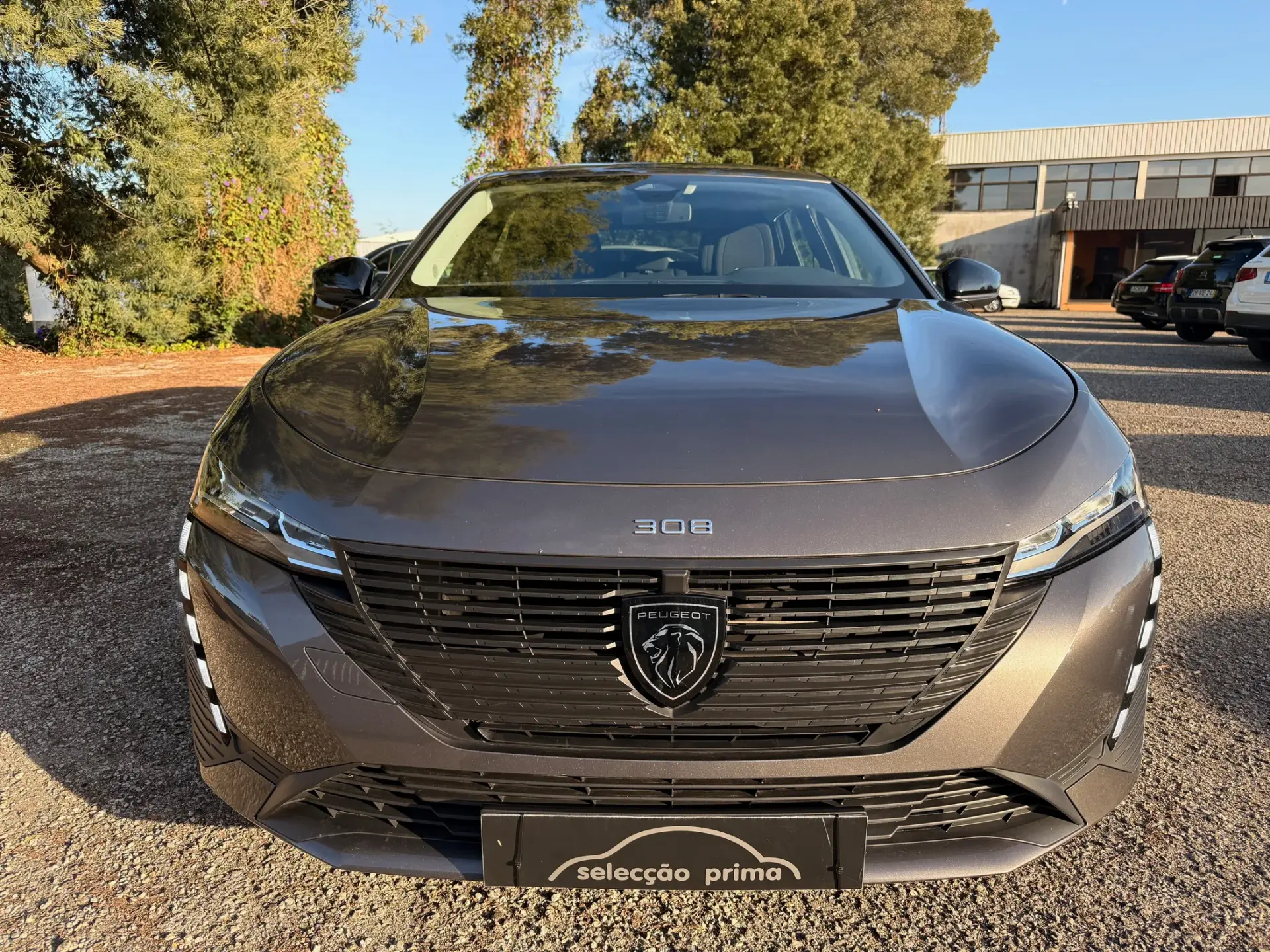 Peugeot 308 SW 1.5 BlueHDi Active Pack 7