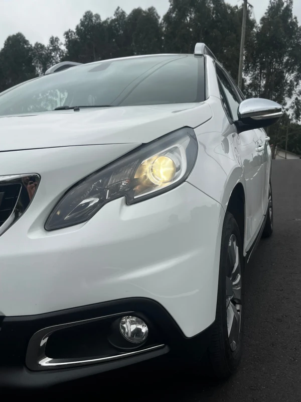 Peugeot 2008 1.2 Style 14