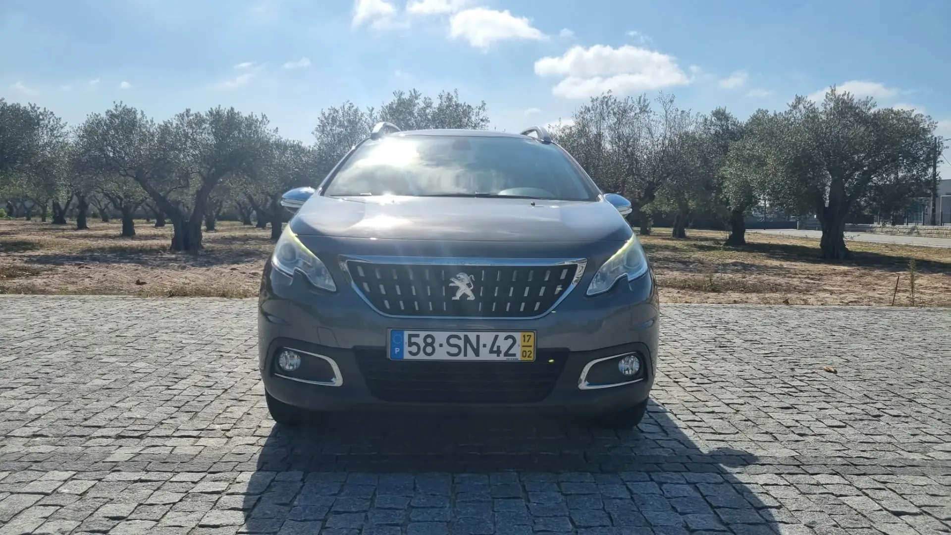 Peugeot 2008 1.6 BlueHDi Style 2
