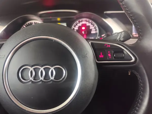 Audi A4 Avant 2.0 TDI multitronic Advance 11