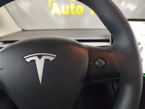 Tesla Model Y RWD 10
