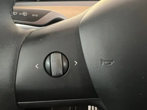 Tesla Model Y RWD 10