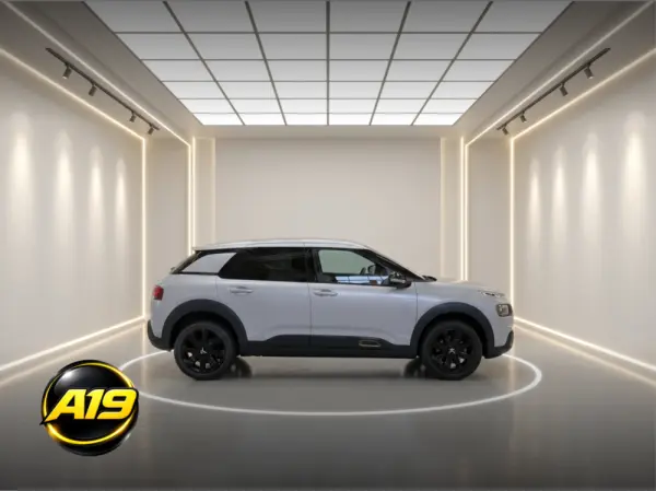 Citroen C4 Cactus PureTech 110 Stop&Start Origins 2