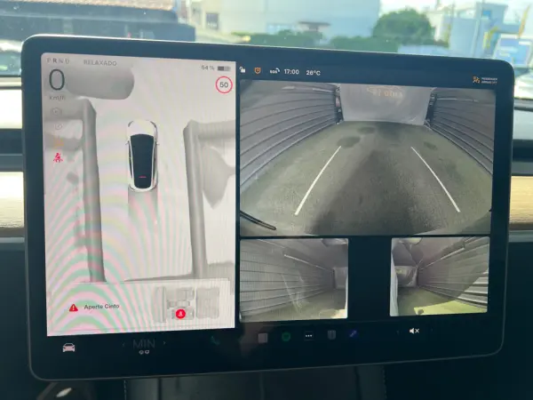 Tesla Model Y STANDARD RWD 10