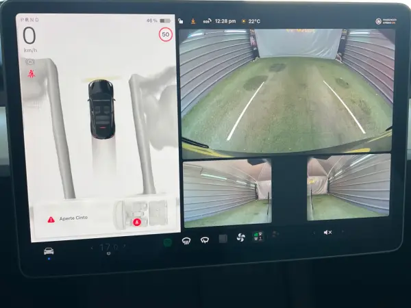 Tesla Model Y RWD 10