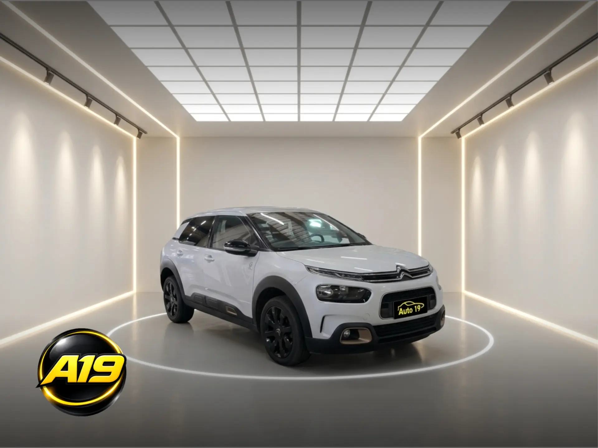 Citroen C4 Cactus PureTech 110 Stop&Start Origins 1