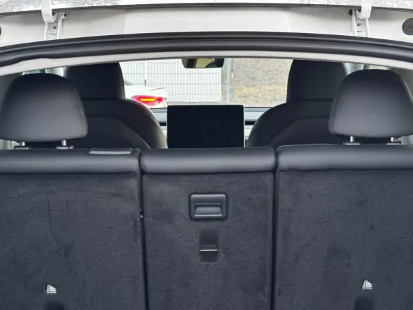 Tesla Model Y Long Range Dual Motor AWD 20