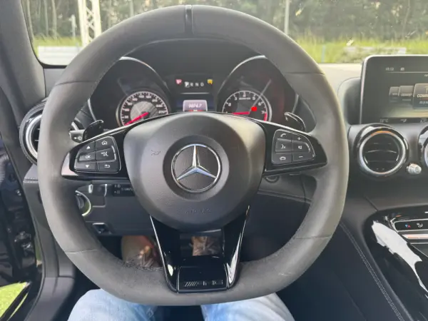 Mercedes-Benz AMG GT Standard 29