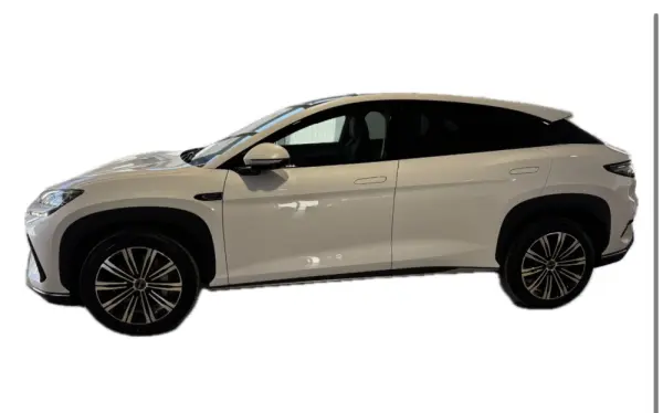 BYD Sealion 7 Sealion7 91.3 kWh Excellence AWD 2