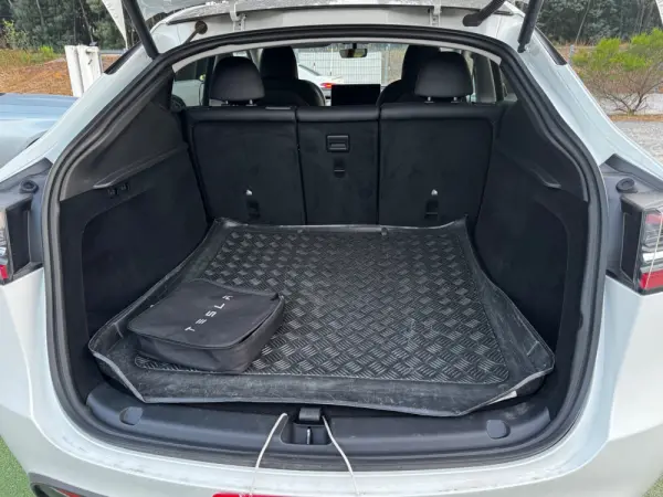 Tesla Model Y Long Range Dual Motor AWD 17