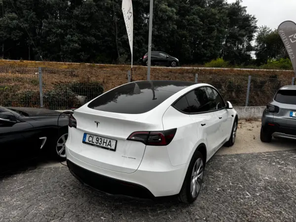 Tesla Model Y Long Range Dual Motor AWD 33