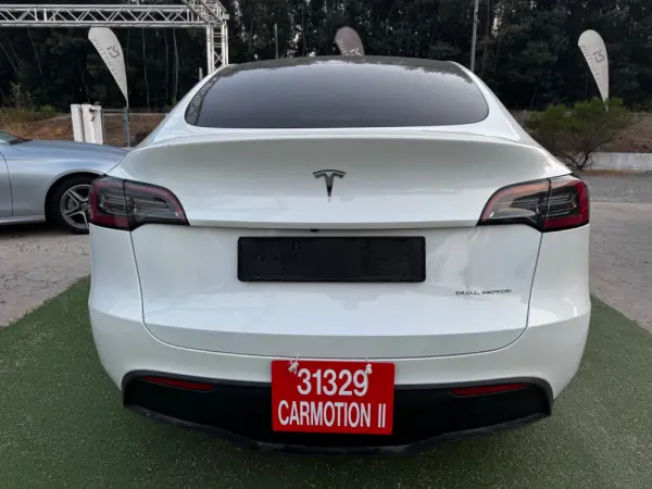 Tesla Model Y Long Range Dual Motor AWD 28