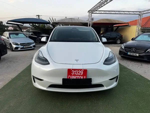 Tesla Model Y Long Range Dual Motor AWD 29