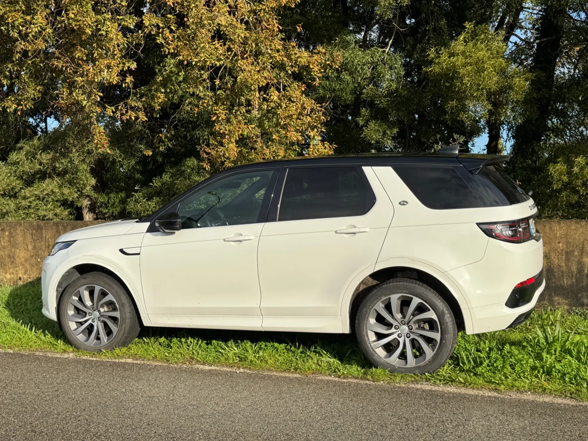 Land Rover Discovery Sport 2.0 D165 R-Dynamic S 29