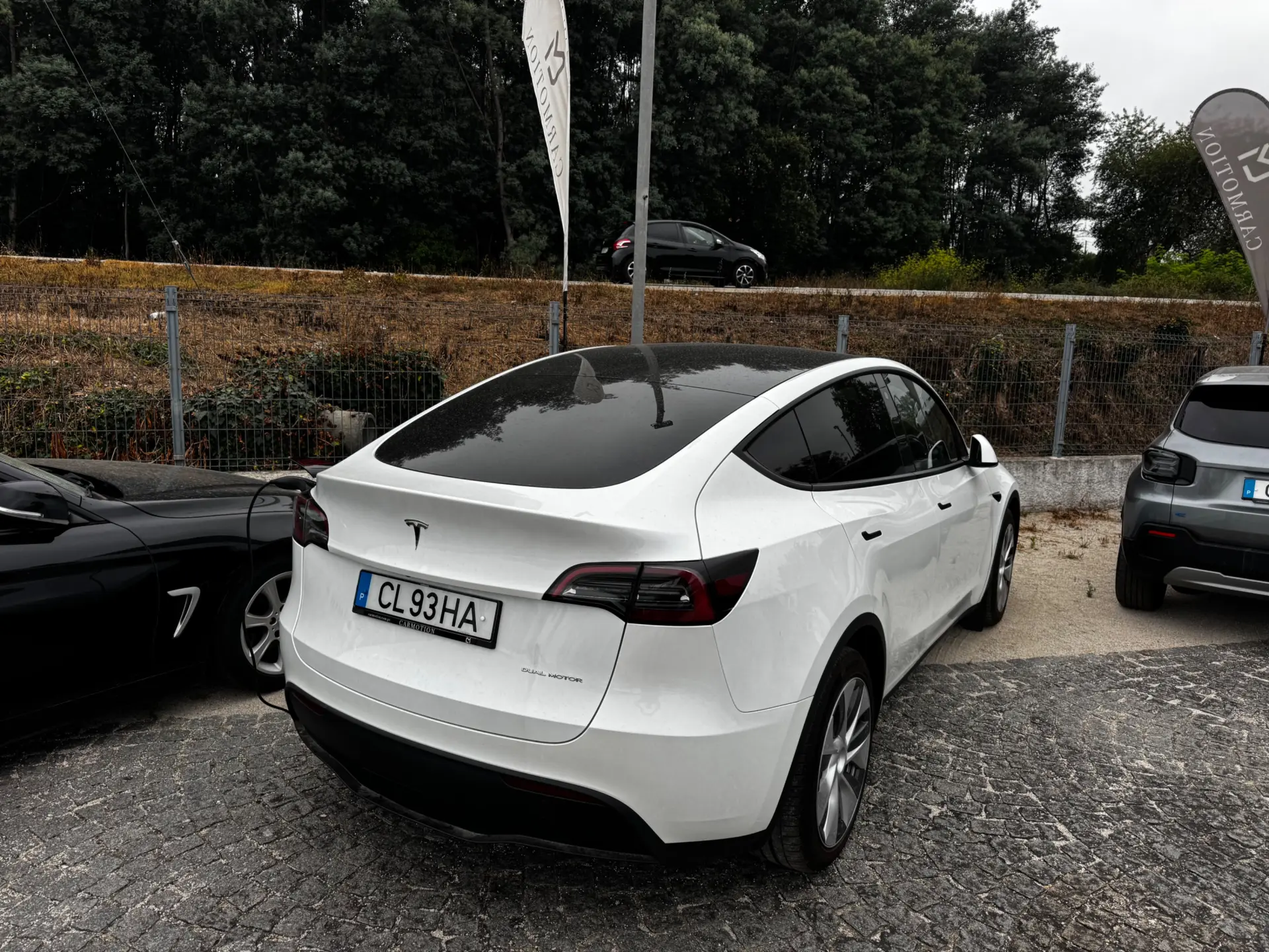 Tesla Model Y Long Range Dual Motor AWD 33