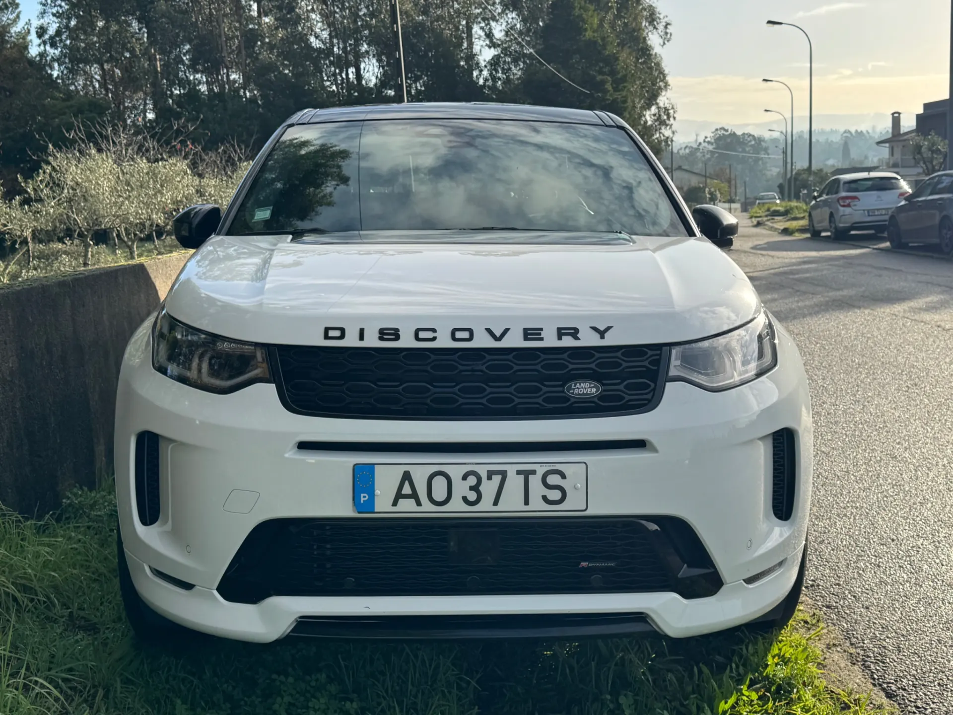 Land Rover Discovery Sport 2.0 D165 R-Dynamic S 25