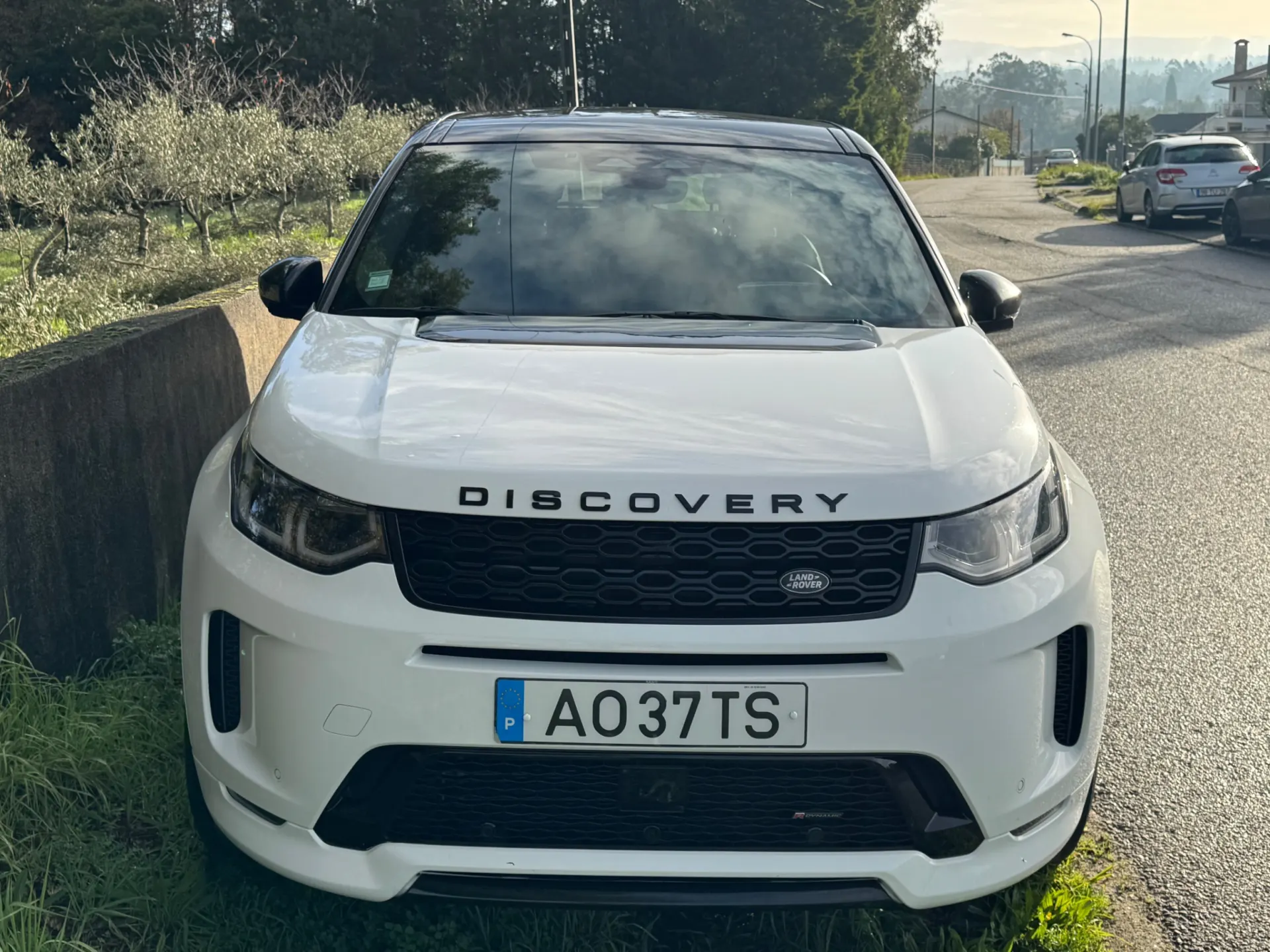 Land Rover Discovery Sport 2.0 D165 R-Dynamic S 28