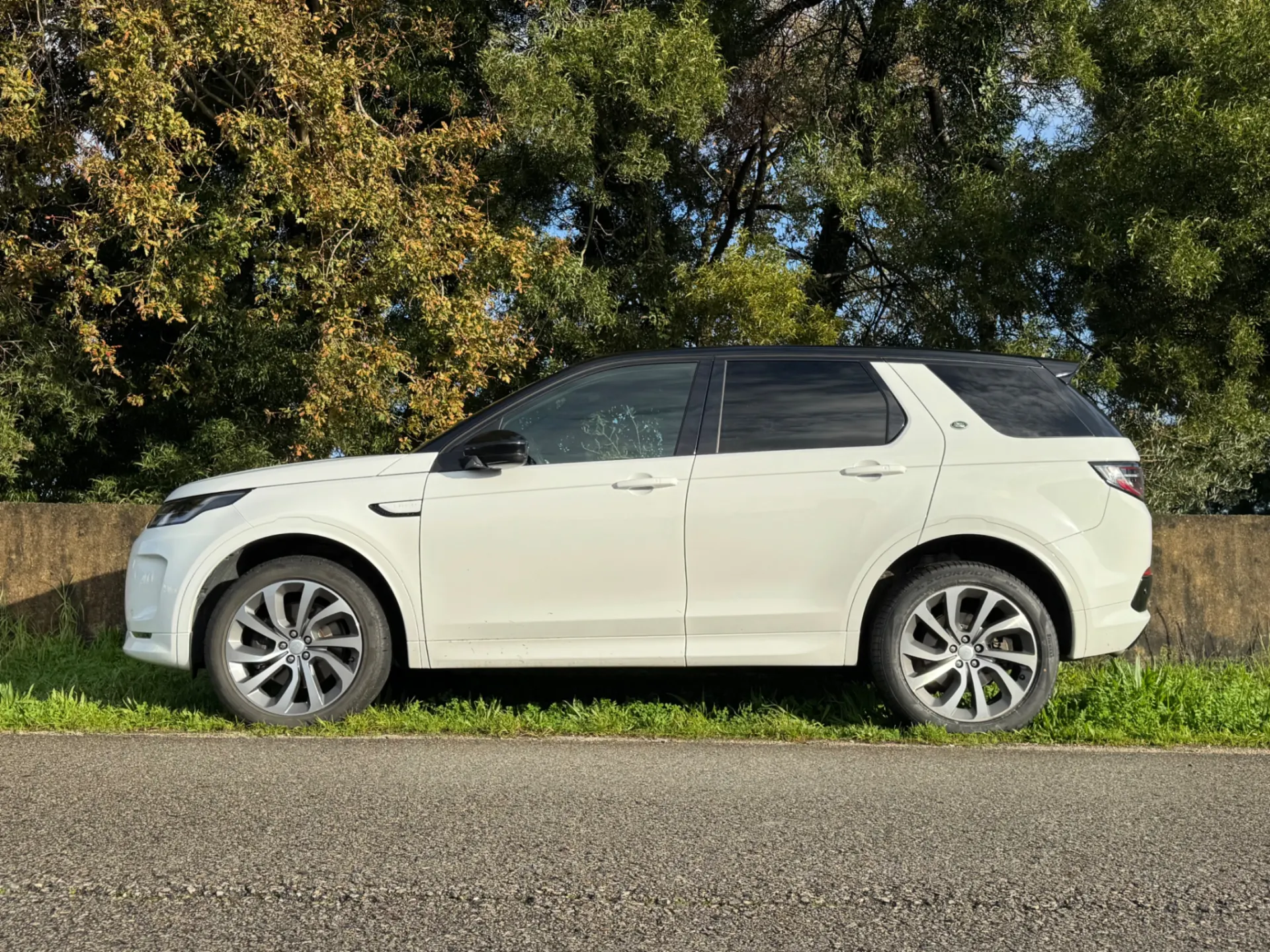 Land Rover Discovery Sport 2.0 D165 R-Dynamic S 26