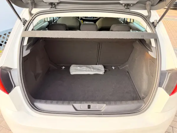 Peugeot 308 BlueHDI Active 14