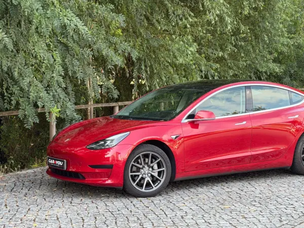 Tesla Model 3 Standard Range Plus RWD 8