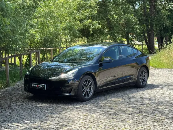 Tesla Model 3 Standard Range Plus RWD 11