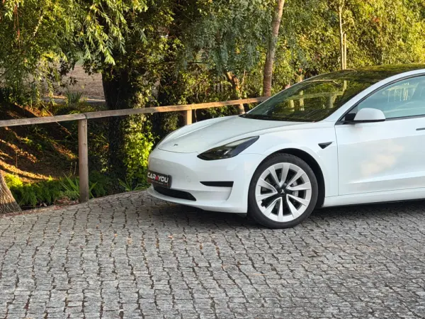 Tesla Model 3 Standard RWD 2