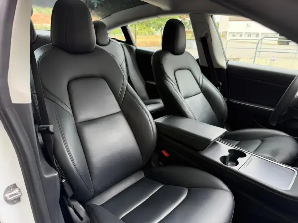 Tesla Model 3 Standard Range Plus RWD 31