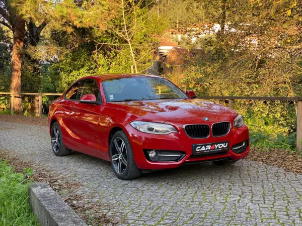 BMW 218 d Line Sport Auto 12