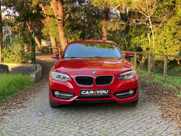 BMW 218 d Line Sport Auto 13