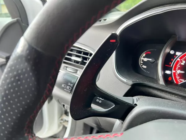 Renault Mégane 1.8 TCe R.S. Trophy EDC 28