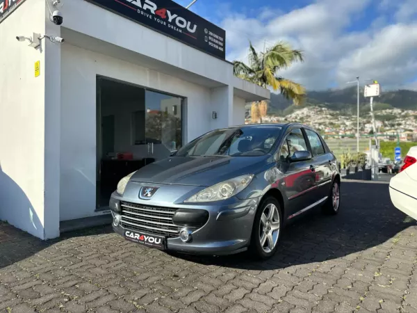Peugeot 307 1.6 HDi XS Premium 1