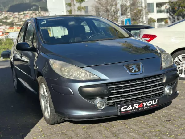 Peugeot 307 1.6 HDi XS Premium 6