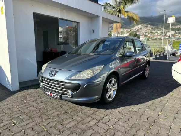 Peugeot 307 1.6 HDi XS Premium 7