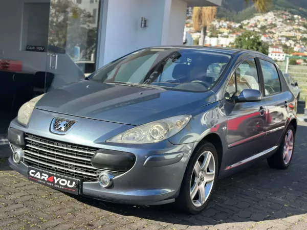 Peugeot 307 1.6 HDi XS Premium 8
