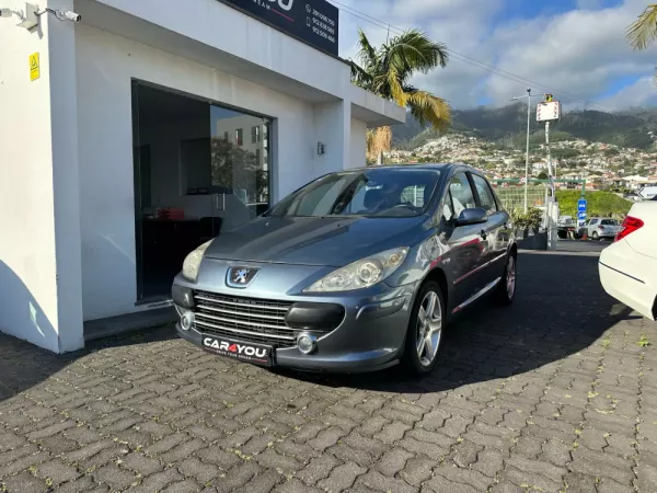 Peugeot 307 1.6 HDi XS Premium 10